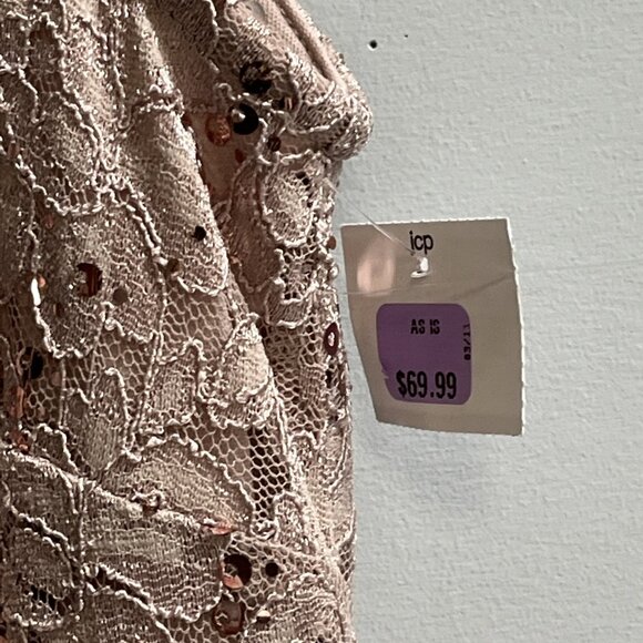 R & M Richards Dress 14 Blush Mauve Lace Sequin Overlay Maxi Gown‎ Fairy Event - Picture 3 of 11